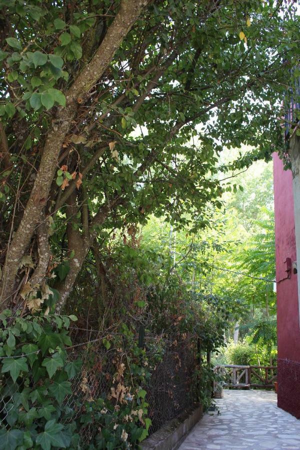 El Balcon Del Hueznar Lejlighed Cazalla de la Sierra Eksteriør billede